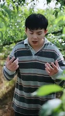 HERBS, HOTTIES & HEADACHES