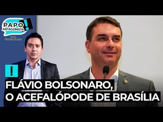 Flávio Bolsonaro, o acefalópode de Brasília
