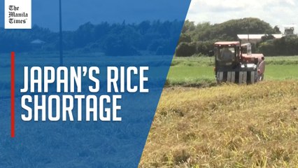 Japan to increase rice import amid declining reserves