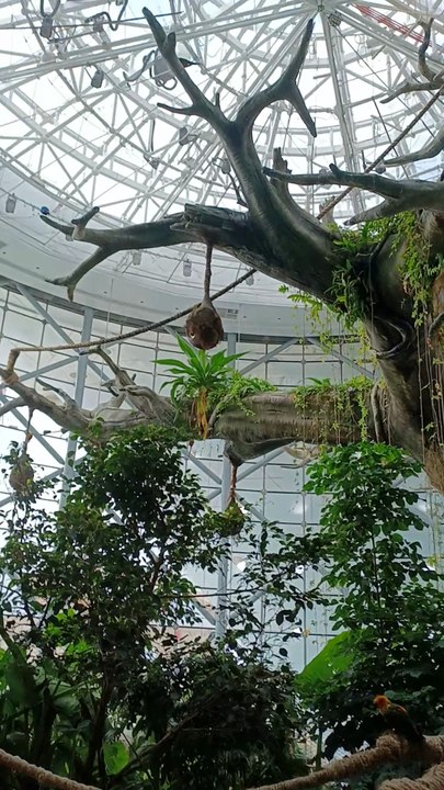 Greenplanet dubai
