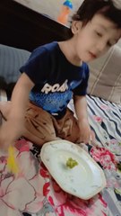 Baby's Love For KIWI Fruit Challenge