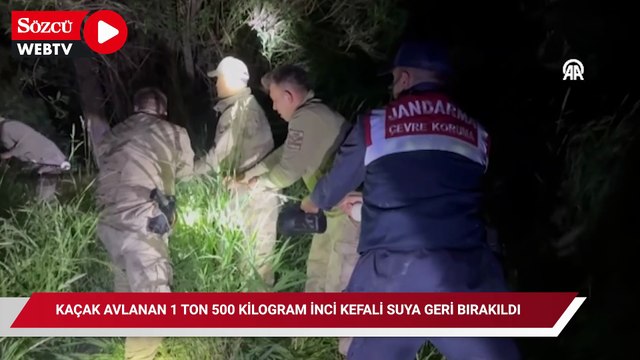 Kaçak avlanan 1 ton 500 kilogram inci kefali suya geri bırakıldı