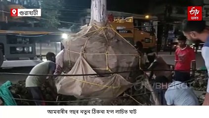 প্ৰতিবাদক আওকাণ কৰি অন্ধকাৰত লাচিত ঘাটলৈ স্থানান্তৰ শতিকা পুৰণি গছ