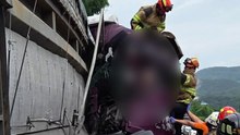 화물차 추돌 사고로 운전자 중상...소 4마리 폐사 / YTN