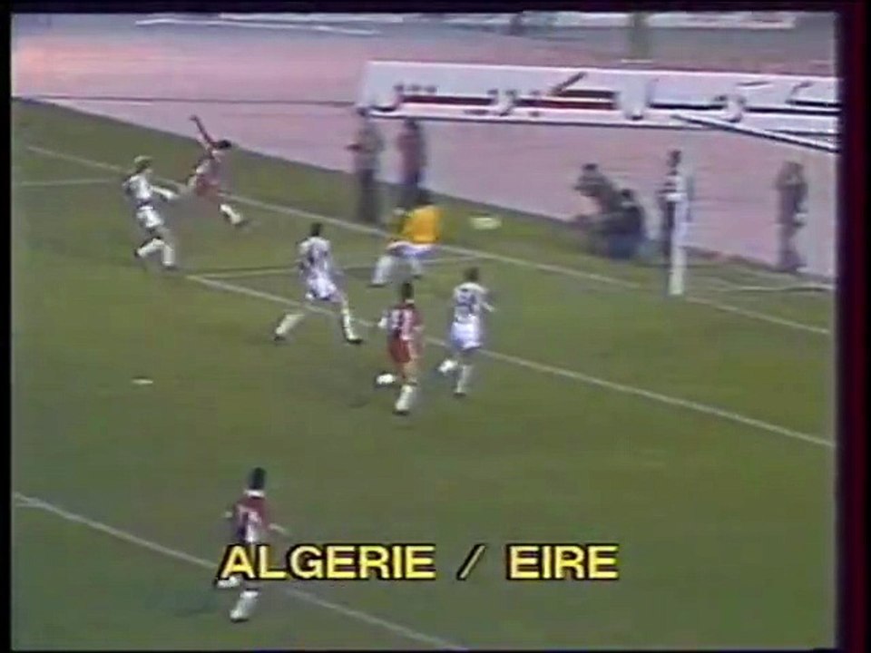 ALGERIE - EIRE - 1982 -