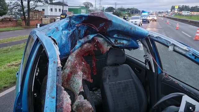 Cavalo morre após ser atropelado por carro e dois homens ficam feridos na BR-277 em Cascavel