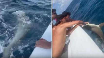 Joao Felix "pesca" uno squalo: il video delle polemiche
