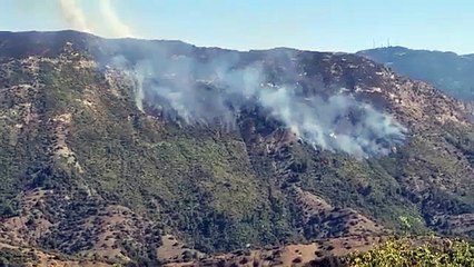 تدخل موفق للطائرة القاذفة للماء لإخماد الحريق الذي شب ببلدية الحمدانية ولاية عين الدفلى.