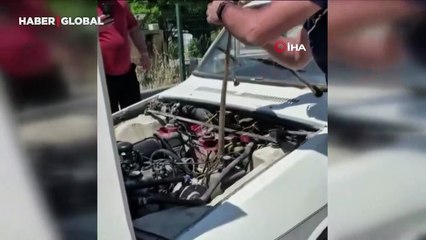 Aracın motoruna giren yılanı elindeki sopayla çıkardı