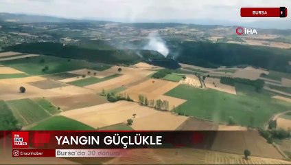 Bursa’da 30 dönümlük buğday tarlası alevlere teslim oldu