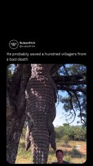 Bro saved Many people - Meme Shorts Gone WILD! 😂🔥 Instant Laughs