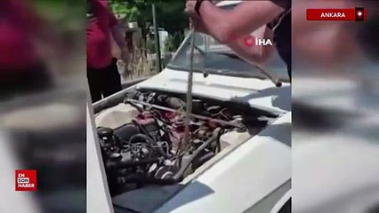 Ankara'da aracın motoruna giren yılanı elindeki sopayla çıkardı