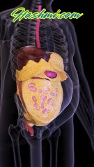 सलाम मिश्री जड़ी-बूटी के फायदे 💯