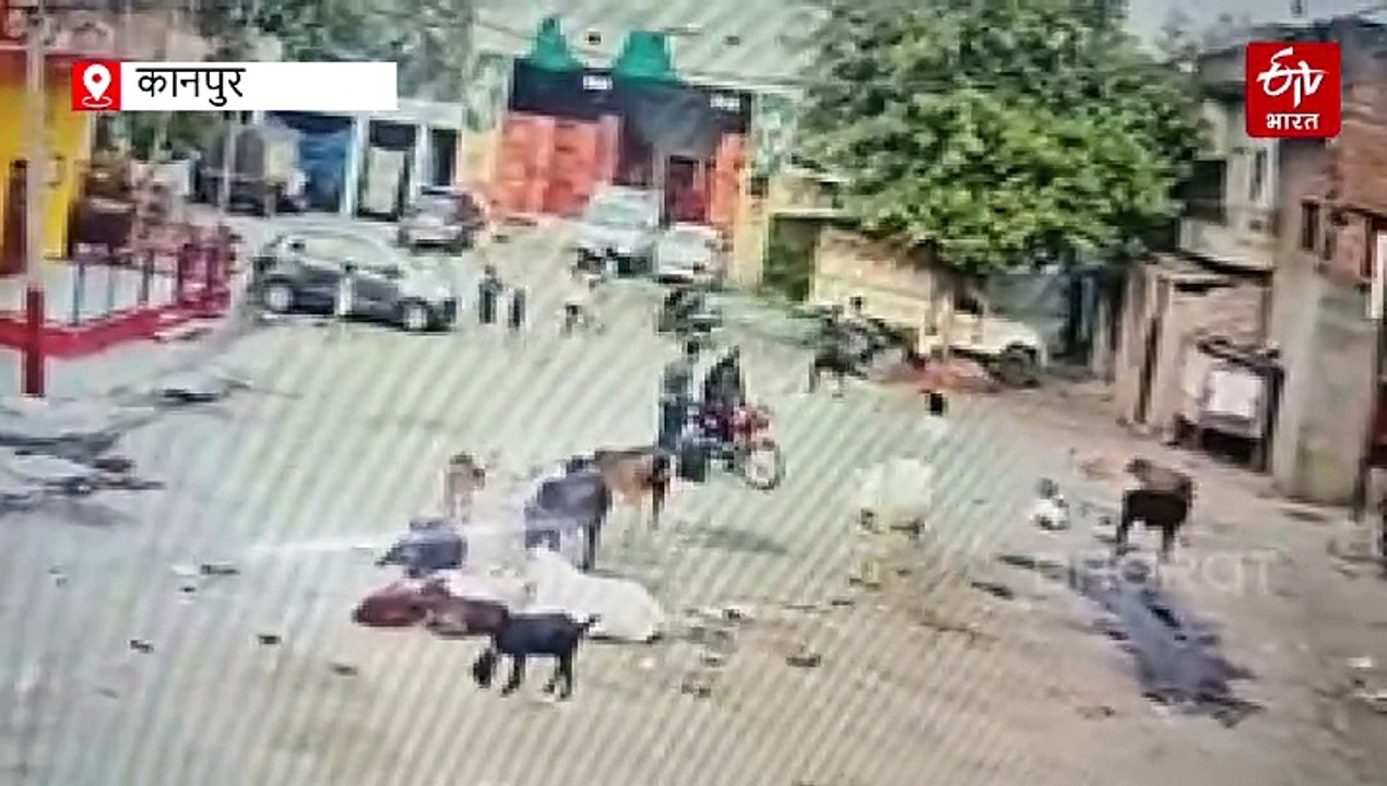 Watch : कानपुर में दरोगा ने बदमाश को भगाया, दबिश से पहले की मुखबिरी, हंसते हुए ट्रॉली बैग लेकर भागा बदमाश, पीछे से पहुंची पुलिस टीम