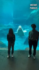 Cette jeune femme ne s’attendait pas à une telle surprise de la part de son petit amie