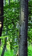 Need a moment for yourself 🌿 Sound on.