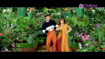 Title Track - Dil Tera Aashiq 1993 Songs