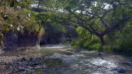 mixkit-flying-over-a-relaxing-creek-full-of-rock-on-the-51585-hd-ready