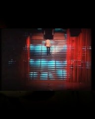 Back to the Eden Tara Wheels.