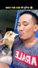 Animal funny videos. Animal Adventurers