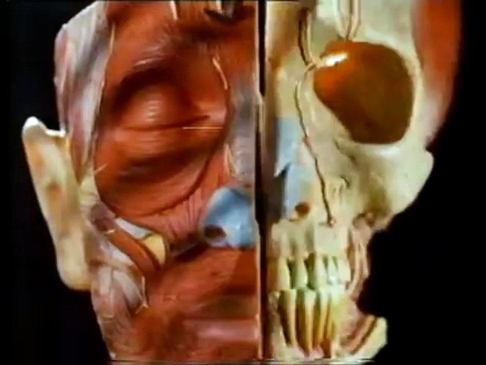 Ghosts in the Machine, Frankfurt Film Museum 16 Jan 1985