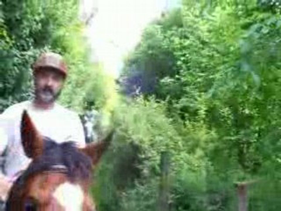 Trot galop balade pode