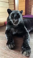 Good Morning Life 😍