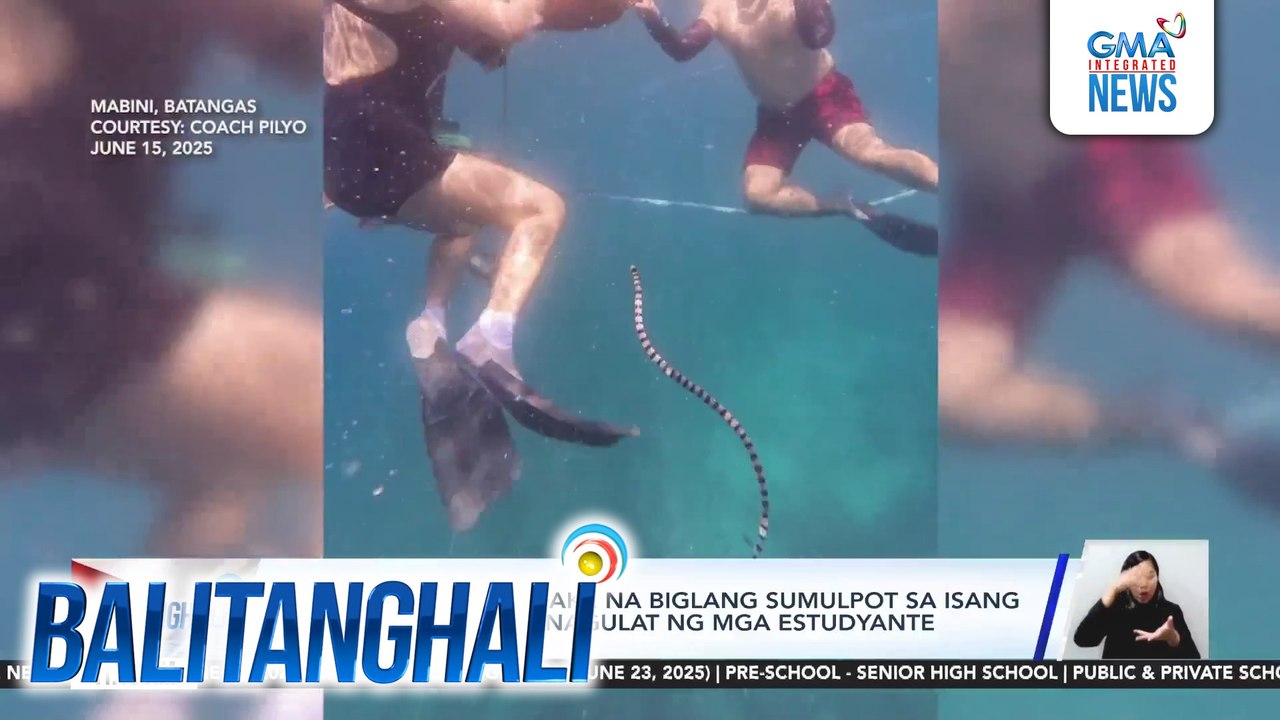 Walo-walo o sea snake na biglang sumulpot sa isang freediving class, ikinagulat ng mga estudyante | Balitanghali