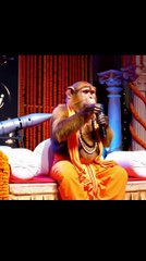 bandarleelayogi  Bhagwaan ka prasad