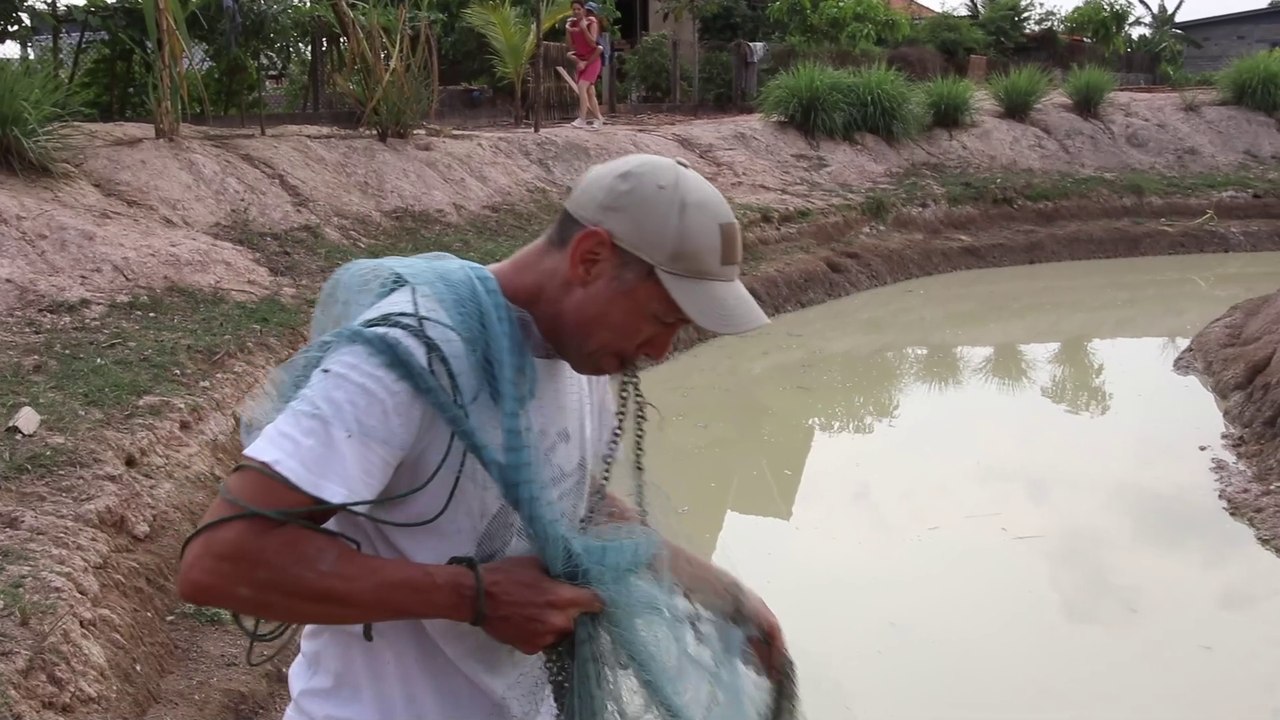 Les rois de l'épervier / Le Ventriloque contre l'Homme aux Dents d'Acier