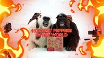 Eating the HOTTEST Peppers in the World _ Bigfoot and Yeti