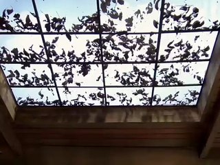 Gabriela 2012 _ Parte 1 do capítulo 15