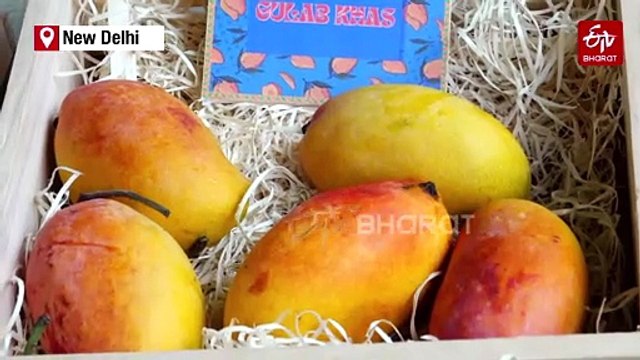 'Mango Fest 2.0' Showcases Diverse Varieties Of The King Of Fruits At Delhi's Aerocity