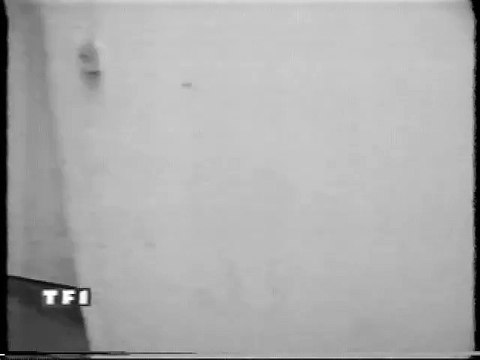 Johnny Hallyday – Interview exclusive & répétitions à La Cigale – Journal de 20h TF1 (27 octobre 1994)