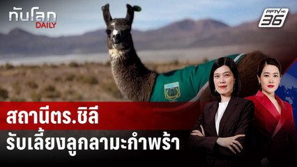 สถานีตำรวจชิลีรับเลี้ยงลูกลามะกำพร้า  | ทันโลก DAILY | 23 มิ.ย. 68