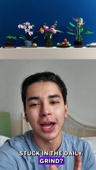 Build This Stunning Orchid with LEGO? 🌸 Set 10311 for Adults – Viral Gift Idea!