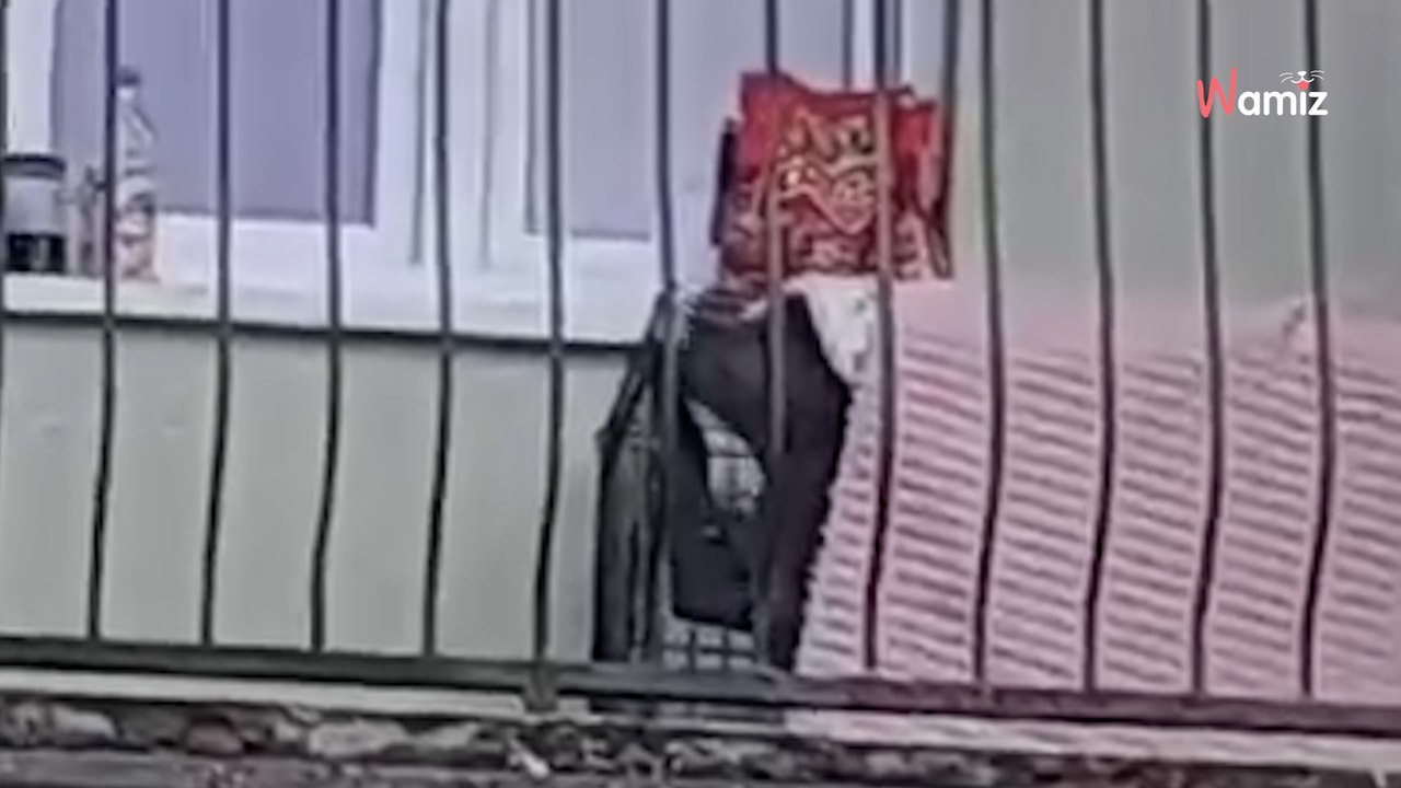 Käfig auf einem Balkon: Sein Inhalt entsetzt