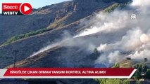 Bingöl'de çıkan orman yangını kontrol altına alındı