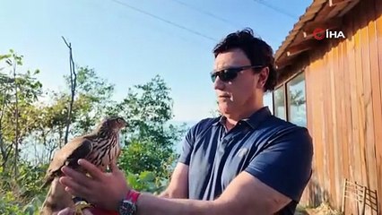 Artvin’de yüzyıllık atmaca geleneği yaşatılıyor