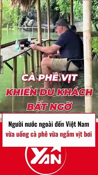 Người nước ngoài đến VN vừa uống cà phê vừa nhìn vịt bơi