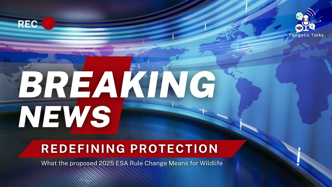 Breaking News: Trump’s ESA Rollbacks & What It Means for Wildlife & Climate | S02E08