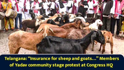 Telangana: “Insurance for sheep and goats…” Members of Yadav community stage protest at Congress HQ