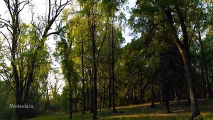 Jeepers Creepers 3 HD – Watch the Horror Continues! 👹