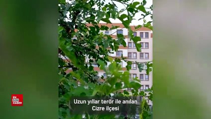 Murat Kurum: Cizre'de artık sadece huzur var