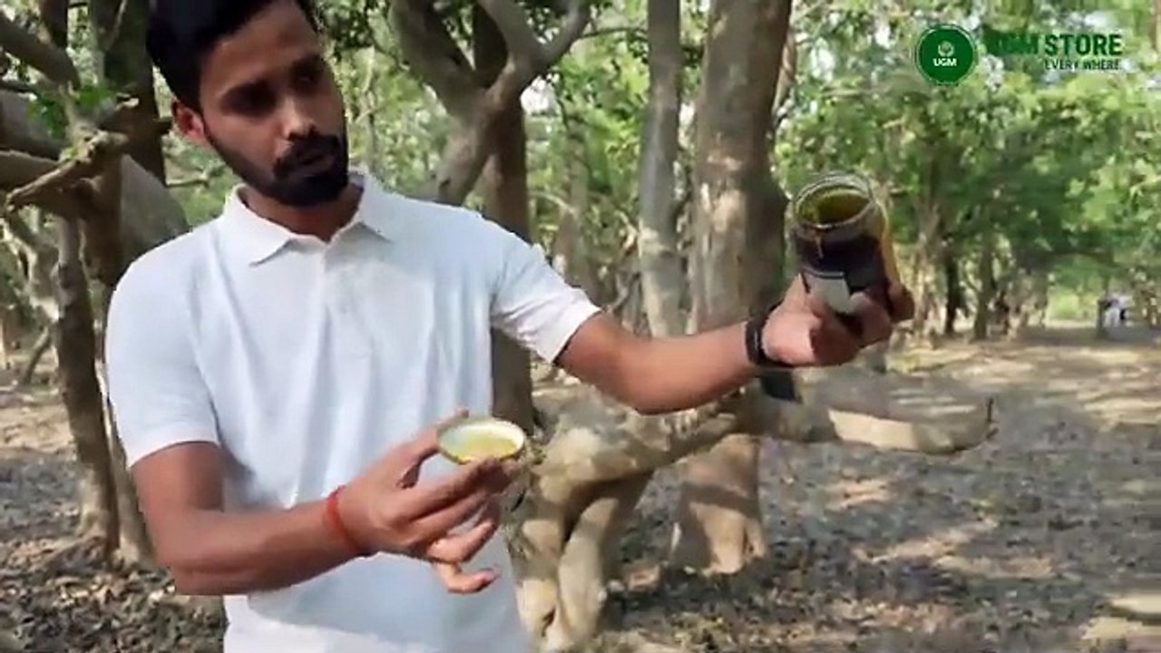 Village Wala Jungly Amrit Honey 500gm – Raw, Pure Jungle Honey