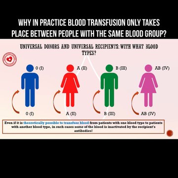 Why in practice blood transfusion only takes place between people with the same blood groups?