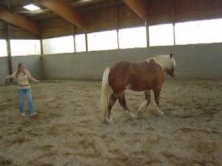 2008.04_Samson longe