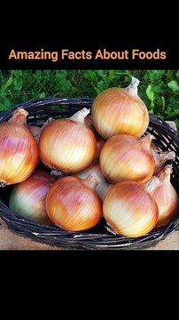 Fun Facts About Foods | Amazing Facts About Foods