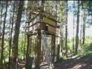 Présentation du Terrain de Paintball