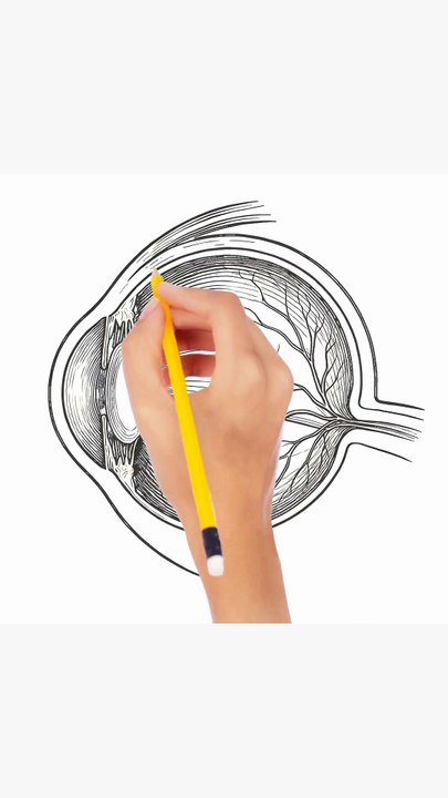The human eye #how to draw and label #anatomy #science